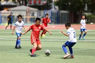 拉齐奥激战,罗马仅存十,伊巴涅斯染,227皇冠,227Crown,227皇冠官网,227皇冠体育官网,227皇冠体育下载,227皇冠APP